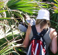 Palm Jungle loop track - Kalgoorlie Accommodation