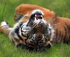 Symbio Wildlife Park - Kalgoorlie Accommodation 6