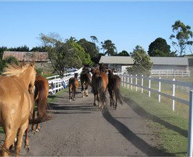 Darkes Forest Riding Ranch - Kalgoorlie Accommodation 1