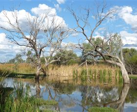 Lagoon Creek - Kalgoorlie Accommodation 0