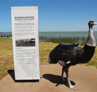 Birdman of the Coorong - Kalgoorlie Accommodation