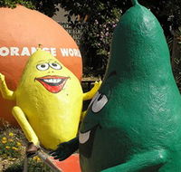 Orange World - Kalgoorlie Accommodation