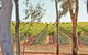 Trentham Estate Winery - thumb 4