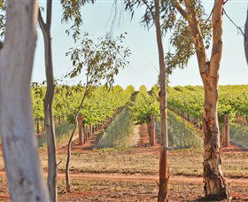 Trentham Estate Winery - Kalgoorlie Accommodation 4