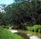 Salvator Rosa Section - Carnarvon National Park - Kalgoorlie Accommodation