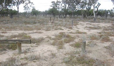 Culgoa Connellys Track - Kalgoorlie Accommodation 0