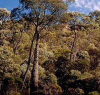 Ka Ka Mundi Carnarvon National Park - Kalgoorlie Accommodation