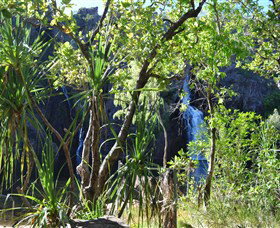 Manngarre Rainforest Walk - Kalgoorlie Accommodation 1