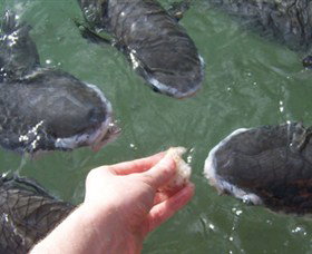 Aquascene - Kalgoorlie Accommodation 1