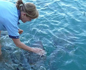 Aquascene - Kalgoorlie Accommodation 2