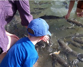 Aquascene - Kalgoorlie Accommodation 0