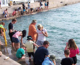 Aquascene - Kalgoorlie Accommodation 3