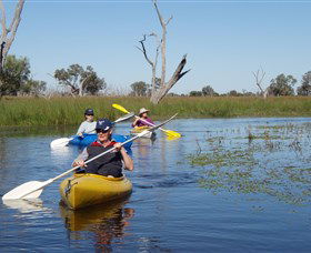 Marsh Meanders - Kalgoorlie Accommodation 0
