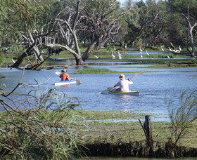 Marsh Meanders - Kalgoorlie Accommodation 2
