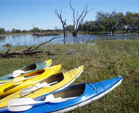 Marsh Meanders - Kalgoorlie Accommodation 1