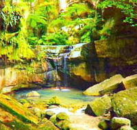 Carnarvon Gorge Carnarvon National Park - Kalgoorlie Accommodation