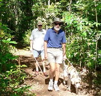 Wongabel State Forest - Kalgoorlie Accommodation