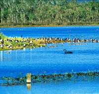 Hasties Swamp National Park - Kalgoorlie Accommodation