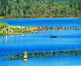 Hasties Swamp National Park - Kalgoorlie Accommodation 0