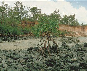 Garig Gunak Barlu National Park - Kalgoorlie Accommodation 3