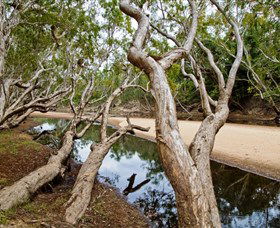 Oyala Thumotang National Park (CYPAL) - Kalgoorlie Accommodation 0