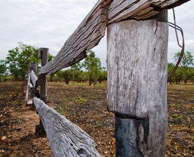 Oyala Thumotang National Park (CYPAL) - Kalgoorlie Accommodation 1