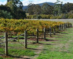 Mountainside Wines - Kalgoorlie Accommodation 1