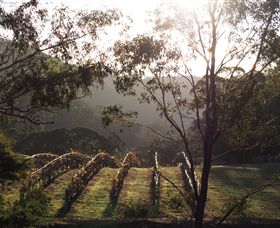 Mountainside Wines - Kalgoorlie Accommodation 3