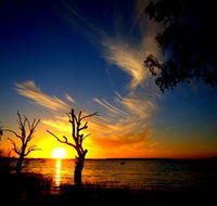 Lake Cowal - Kalgoorlie Accommodation