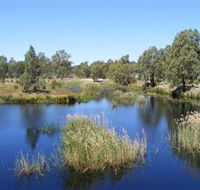 Narrandera Wetlands - Kalgoorlie Accommodation