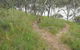 Bundidgerry Walking Track - thumb 1