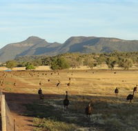 Emu Logic - Kalgoorlie Accommodation