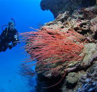 Three Sisters Dive Site - Kalgoorlie Accommodation