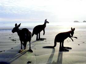 Hibiscus Coast - Kalgoorlie Accommodation 0