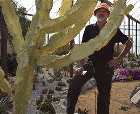 Cactus Country - Kalgoorlie Accommodation 0