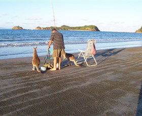 Illawong Beach QLD Kalgoorlie Accommodation