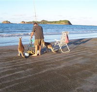 Cape Hillsborough National Park - Kalgoorlie Accommodation
