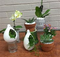 Cobram Florist