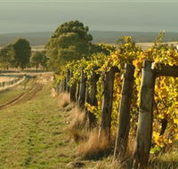 Captains Creek Organic Wines - Kalgoorlie Accommodation