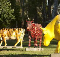 Greater Shepparton's Moooving Art - Kalgoorlie Accommodation