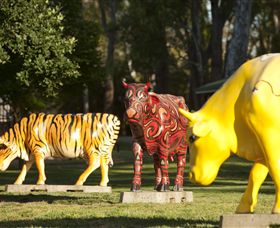Greater Shepparton's Moooving Art - Kalgoorlie Accommodation 0