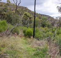 Lynchs loop trail - Kalgoorlie Accommodation