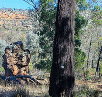 Eualdrie walking track - Kalgoorlie Accommodation