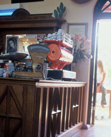 Cactus Cafe And Gallery - Kalgoorlie Accommodation 1