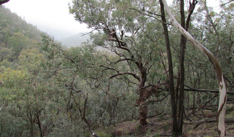Toogong NSW Kalgoorlie Accommodation