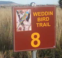 Weddin Bird Trails - Kalgoorlie Accommodation