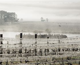 Grange Cleveland Winery - Kalgoorlie Accommodation 7