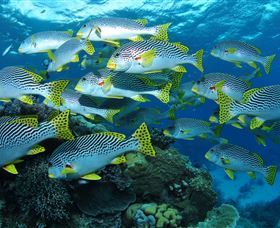 Challenger Bay Dive Site - Kalgoorlie Accommodation 0