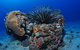 Challenger Bay Dive Site - thumb 1