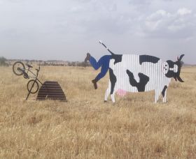 Animals On Bikes - Kalgoorlie Accommodation 1